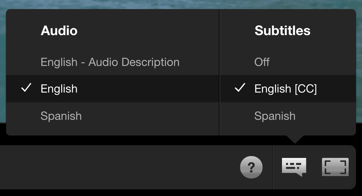 subtitles and closed captions settings netflix