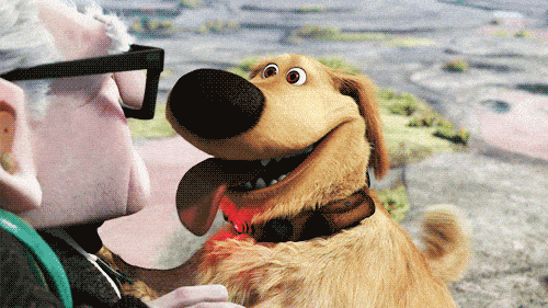 Animated gif of dog and old man from Up movie