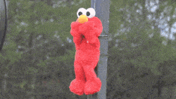 Tickle me elmo tied to a telephone pole being torched 