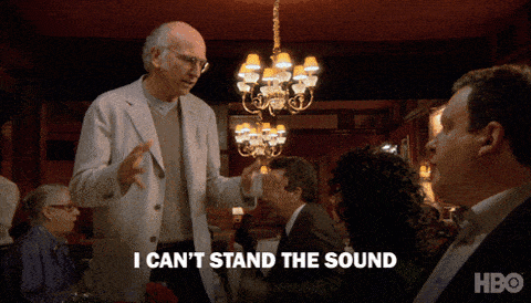 Larry David saying I can't stand the sound