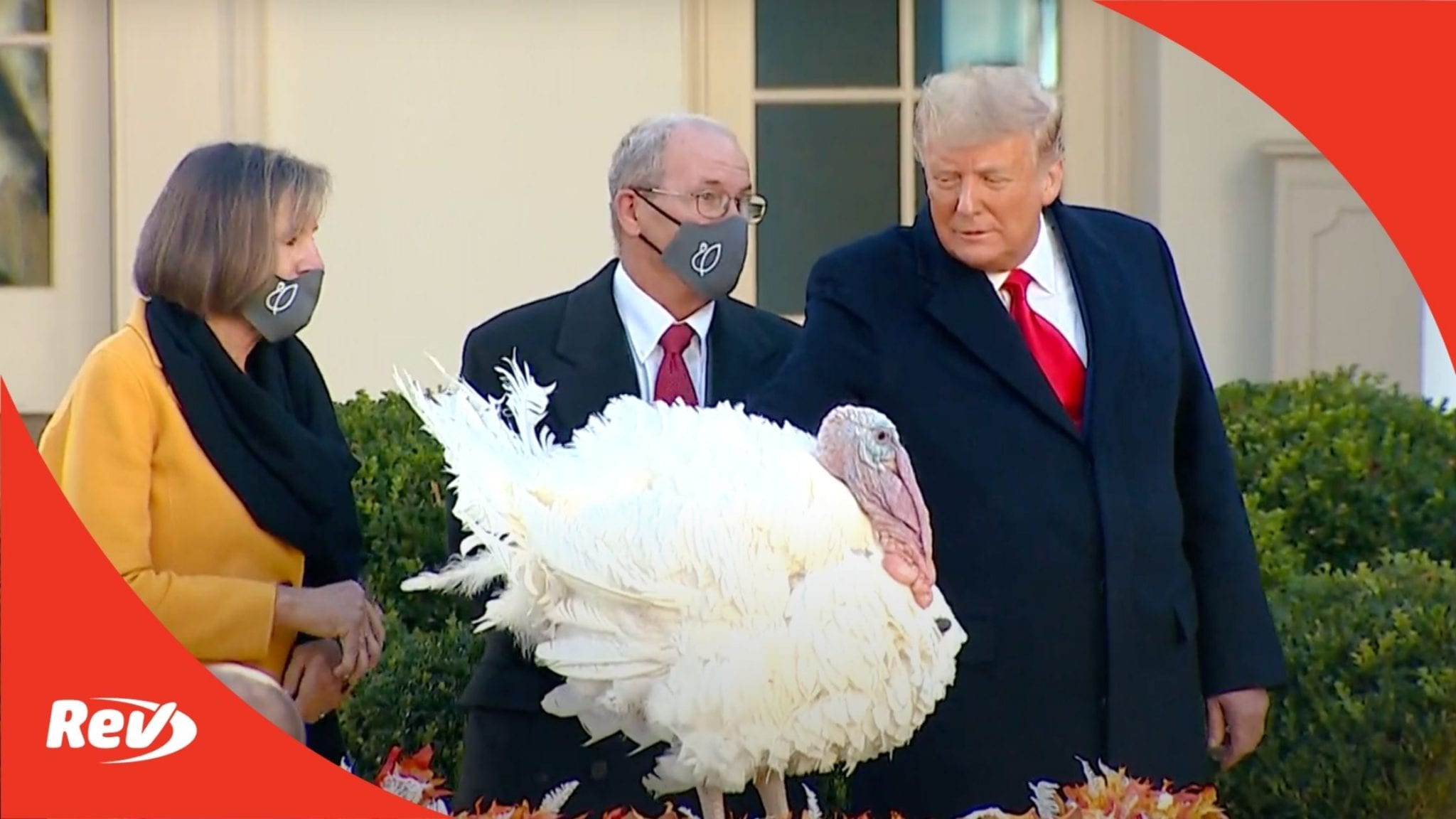 Donald Trump Pardons Thanksgiving Turkey Transcript November 24