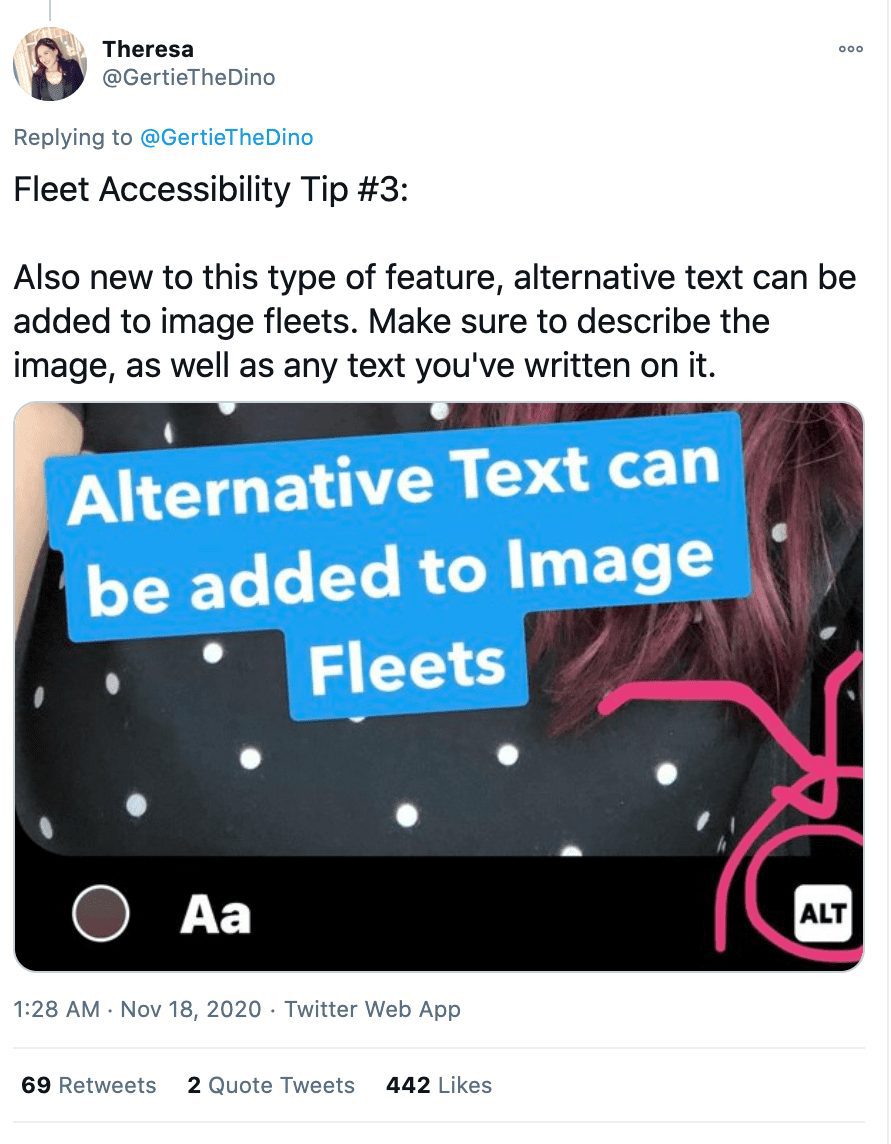 Tweet from @GertieTheDino explaining how to make Fleets accessible.