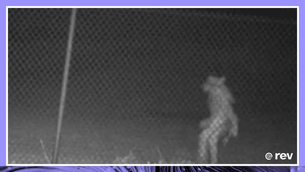 Mystery "Wolfman" creature caught on camera outside Amarillo Zoo 6/09/22 Transcript
