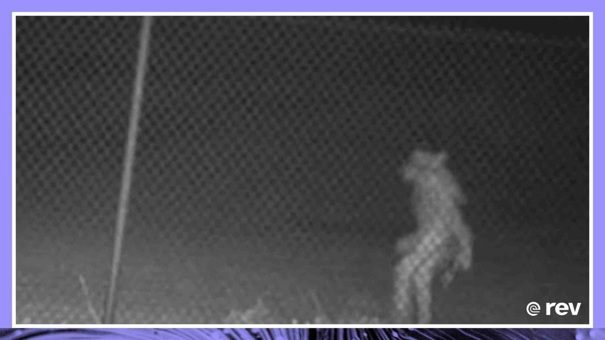 Mystery "Wolfman" creature caught on camera outside Amarillo Zoo 6/09/22 Transcript