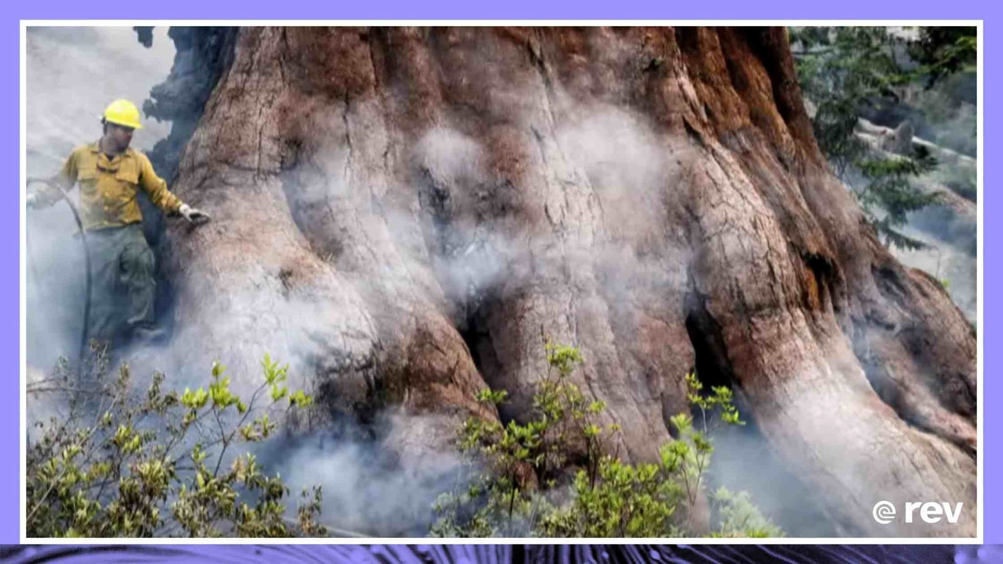 Growing wildfire in Yosemite National Park threatens ancient sequoias Transcript