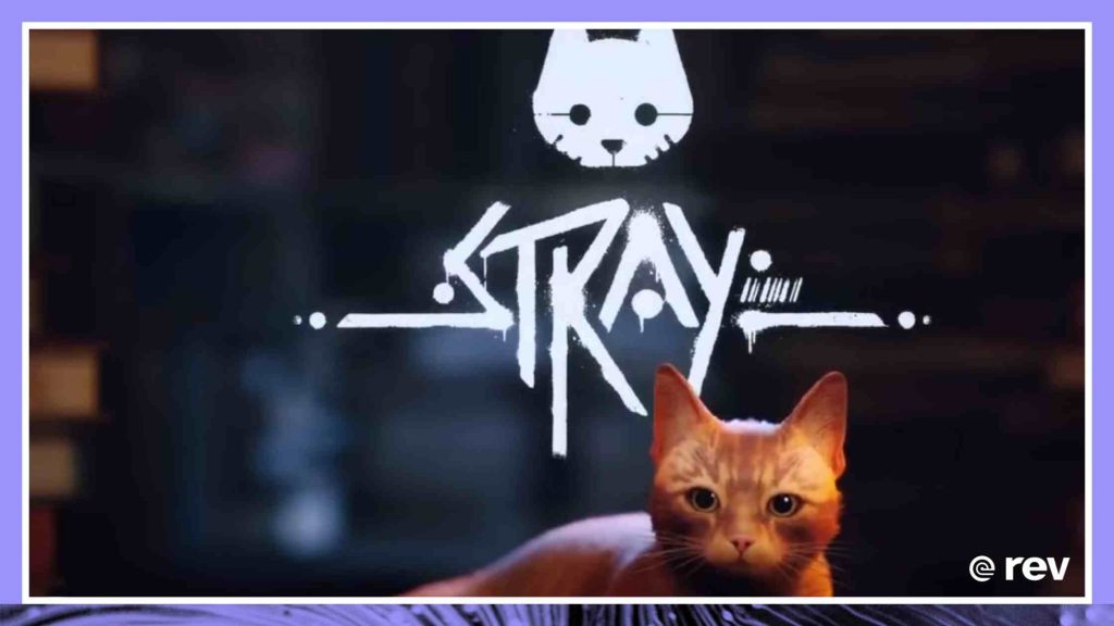 Cats & Their Humans Fall In Love With 'Stray' Video Game Transcript