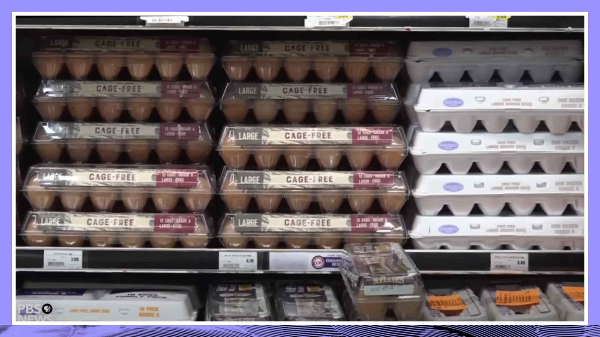 What's Causing the Price of Eggs to Skyrocket Nationwide Transcript