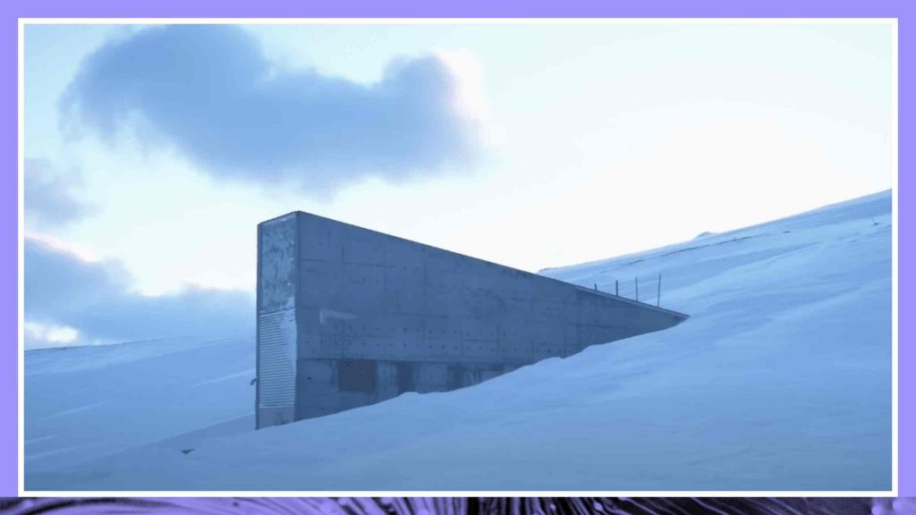 Global Seed Vault Becomes More Important Than Ever as Climate Change Threatens Crops Transcript