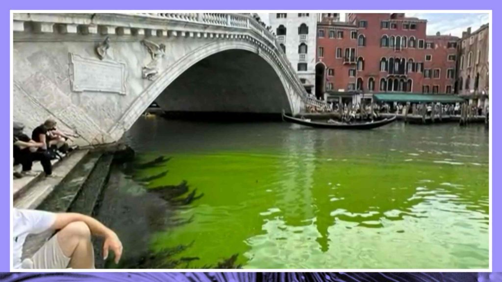 Authorities Discover Why the Water in Venice's Grand Canal Turned Fluorescent Green Transcript