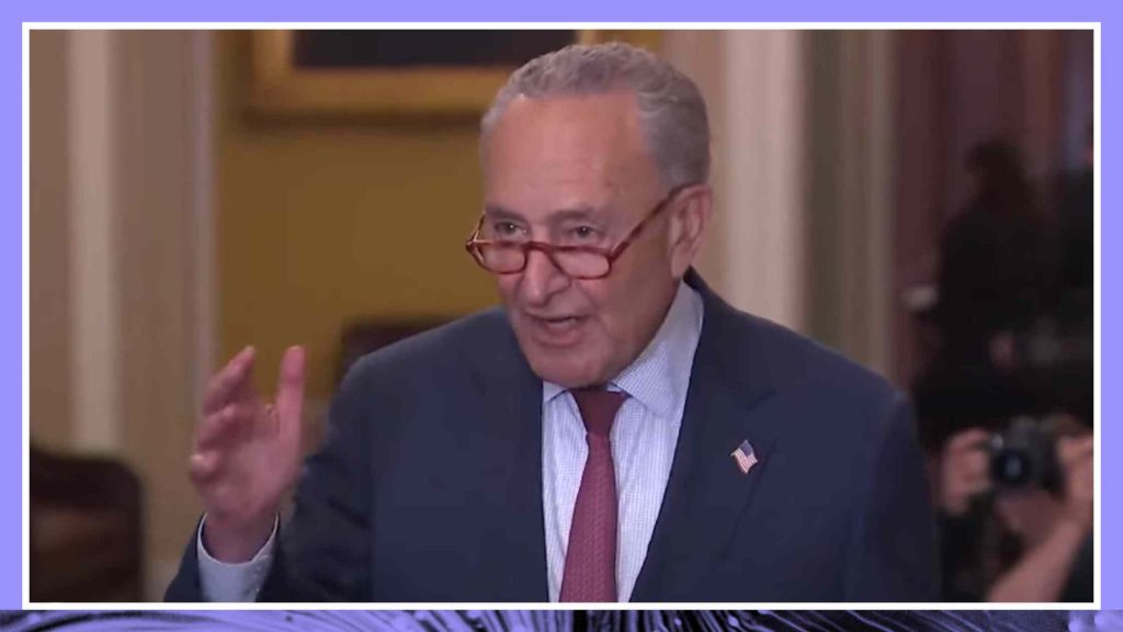 Chuck Schumer Holds a Press Briefing Stressing the Importance of Understanding AI Transcript