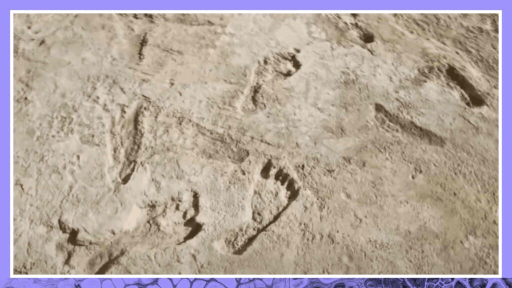 Ancient Footprints Challenge Old Timeline of Human Arrival in America Transcript