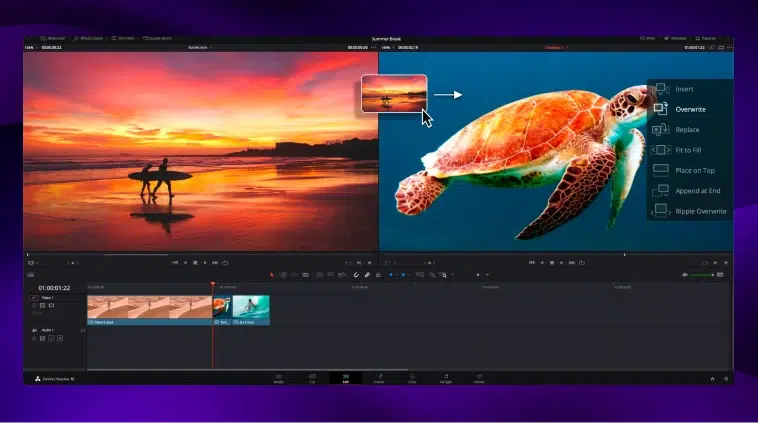 Screenshot of a video of people on a beach and a sea turtle being edited in DaVinci Resolve software.